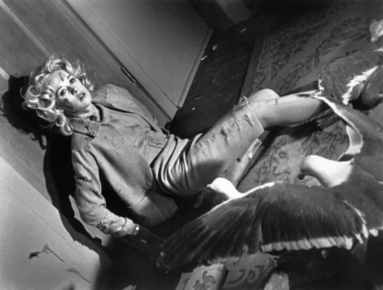 Tippi Hedren’s Ordeal Filming ‘The Birds’ Climactic Attic Scene Delivered a Classic Hitchcock Suspense Scene